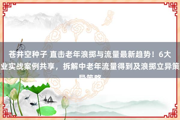 苍井空种子 直击老年浪掷与流量最新趋势！6大企业实战案例共享，拆解中老年流量得到及浪掷立异策略