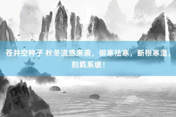 苍井空种子 秋冬流感来袭，御寒祛寒，断根寒湿，刻羁系缓！