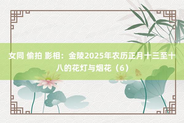 女同 偷拍 影相：金陵2025年农历正月十三至十八的花灯与烟花（6）