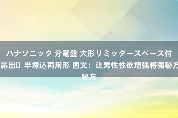 パナソニック 分電盤 大形リミッタースペース付 露出・半埋込両用形 图文：让男性性欲增强将强秘方