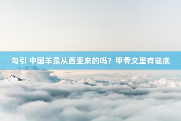 勾引 中国羊是从西亚来的吗？甲骨文里有谜底