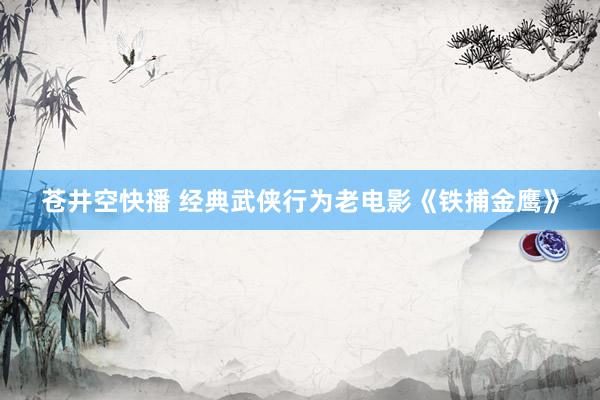 苍井空快播 经典武侠行为老电影《铁捕金鹰》